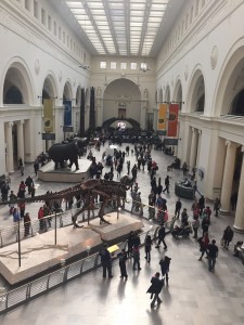 Field Museum